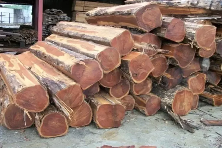 teak wood logs 500x500_1_740x493