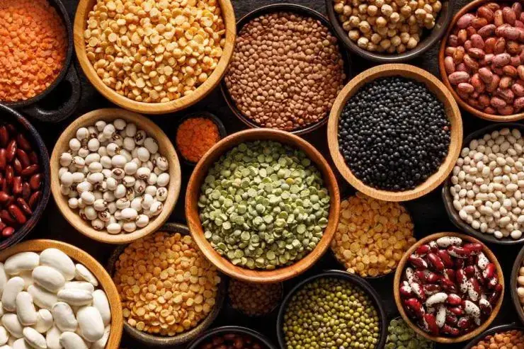 pulses 1019x573 1